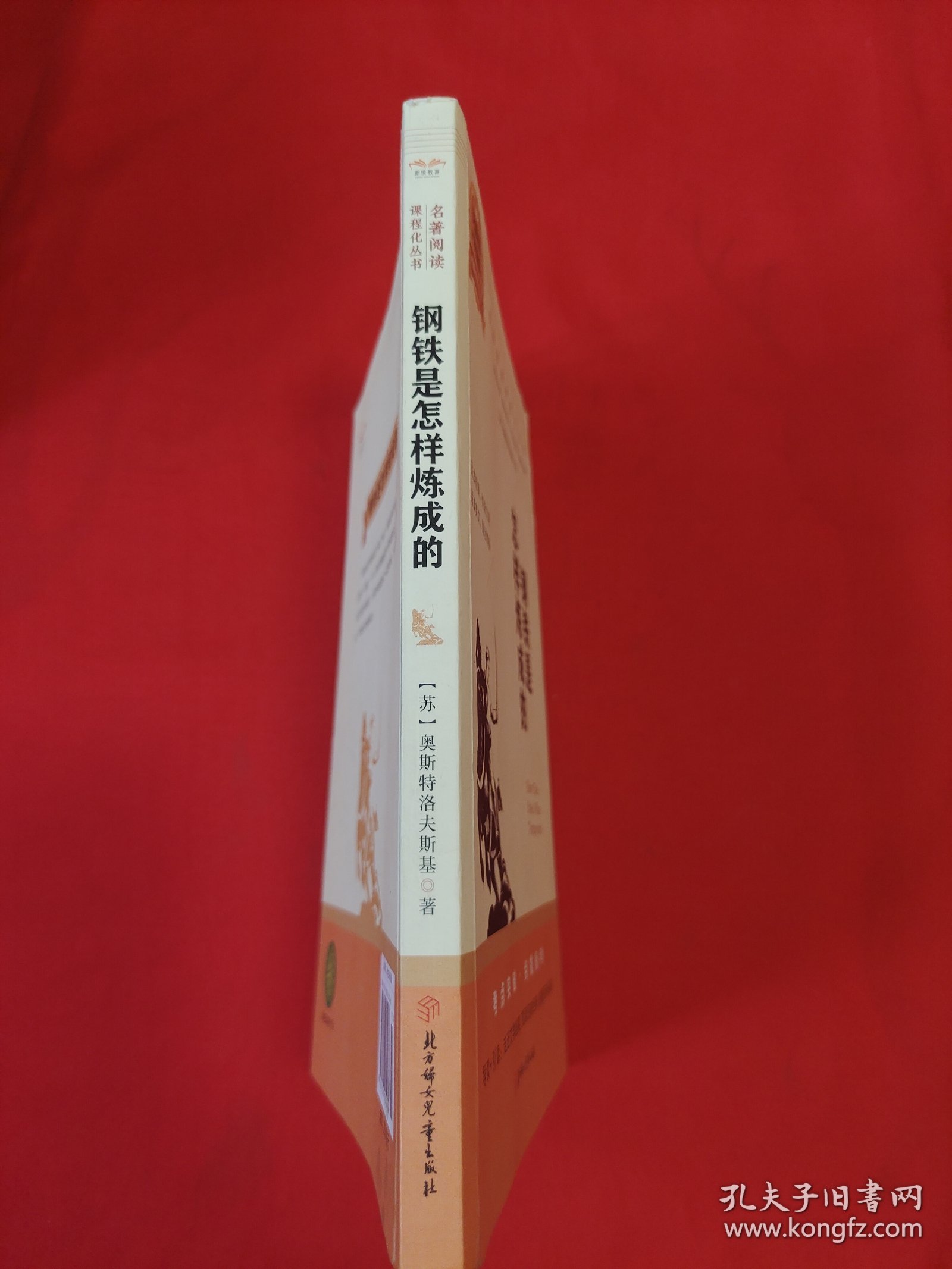 语文新课程标准必读（青少版）：钢铁是怎样炼成的