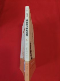语文新课程标准必读（青少版）：钢铁是怎样炼成的