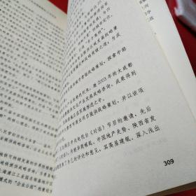 找魂：王志纲工作室战略策划10年实录