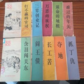 农民家史10册全套