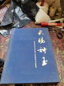 天賜神玉 唐傅林收藏和田觀賞玉典精品奇石鑒賞(布面精裝)