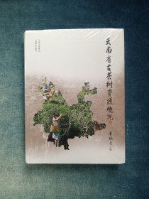 云南省古茶树资源概况