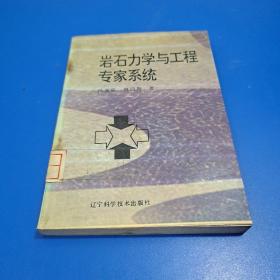 巖石力學與工程專家系統（館藏圖書）