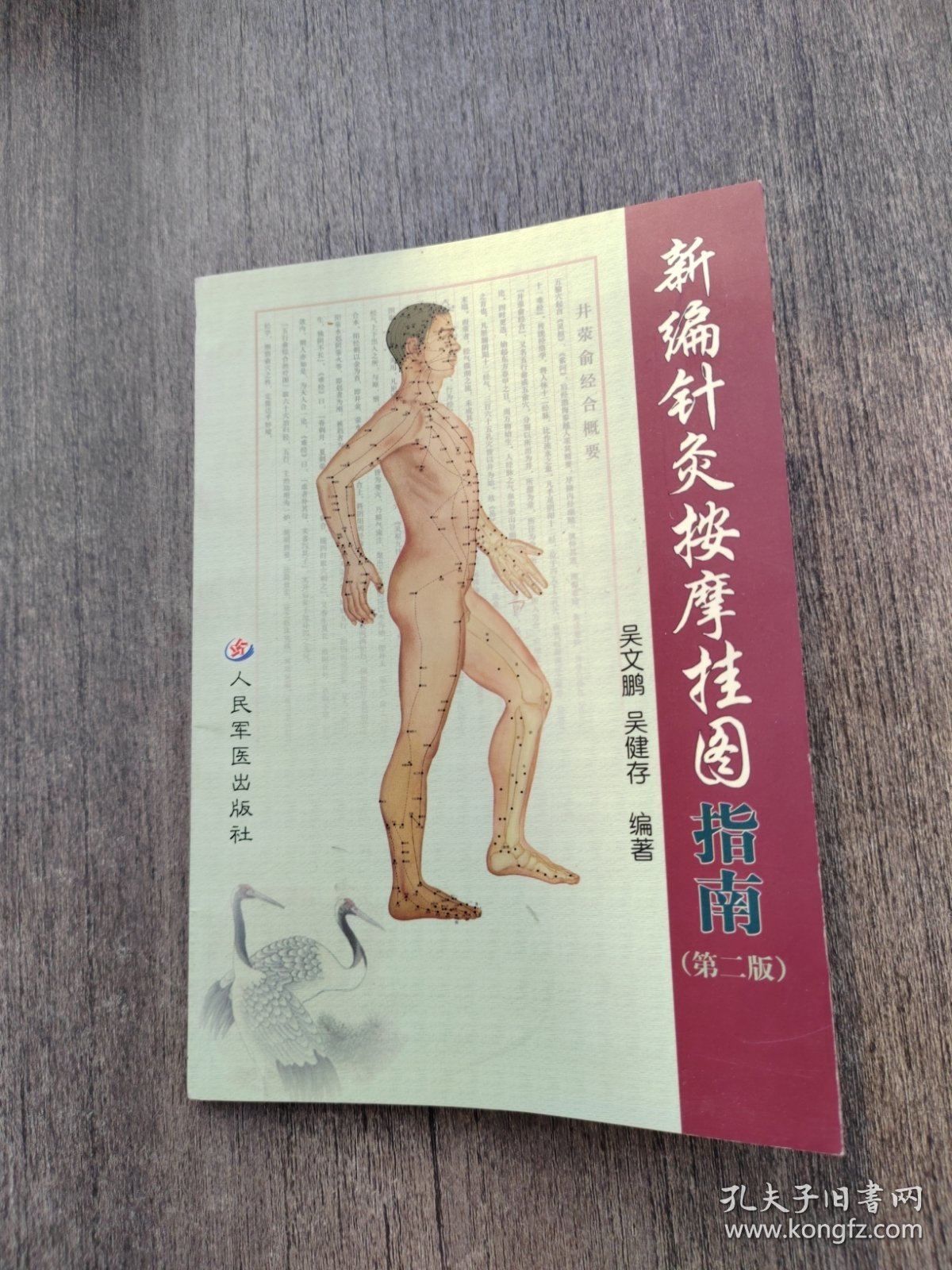新编针灸按摩挂图（第二版）