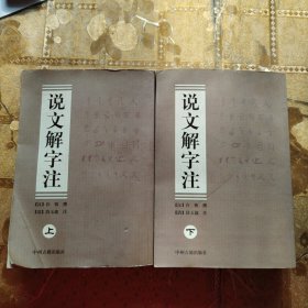 说文解字注（上下册）