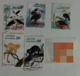 亚洲邮票7(印度尼西亚)~鸟类/哺乳动物专题--棉凫/栗树鸭/斑胸树鸭/印度尼西亚熊袋貂/澳大利亚袋貂
