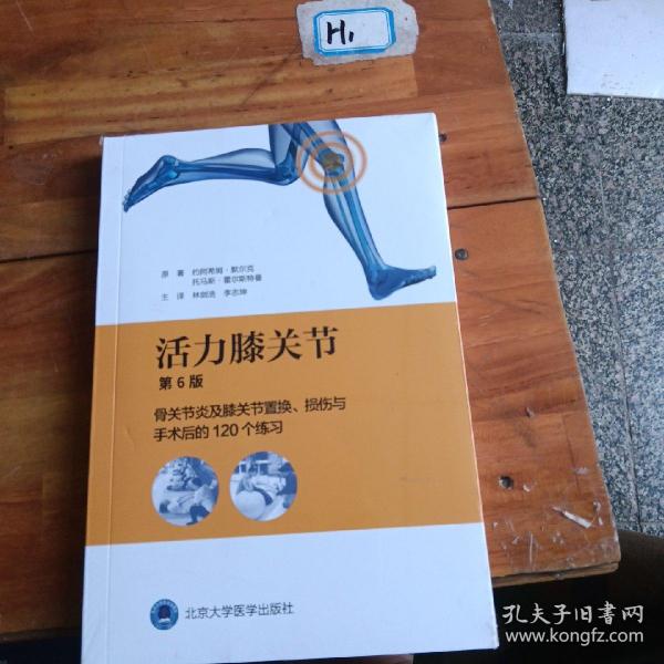 活力膝关节——骨关节炎及膝关节置换、损伤与手术后的120个练习（第6版）