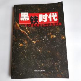 黑铁时代：王小波早期作品及未竟稿集