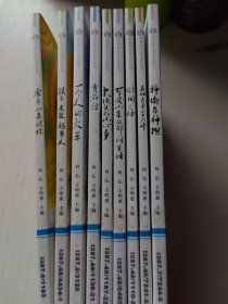 泥泥狗儿童文学丛书：神偷与神探 等（9本合售）