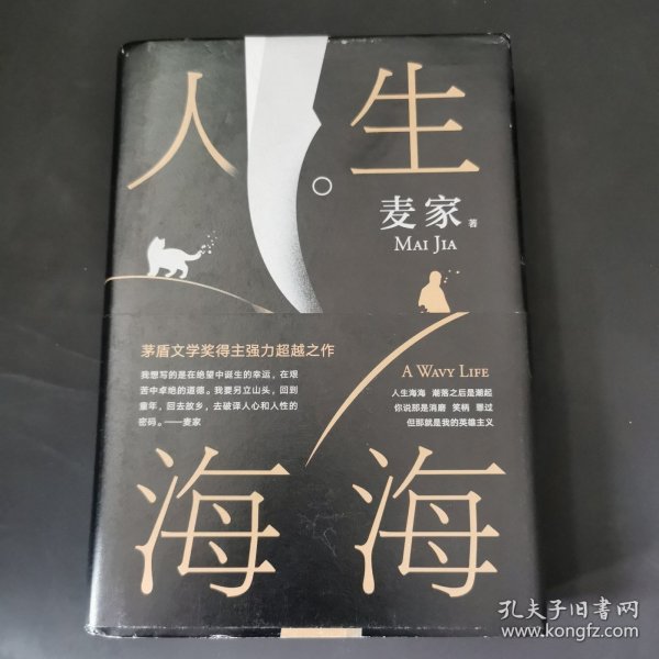 麦家：人生海海（茅盾文学奖得主麦家2019年强力之作）