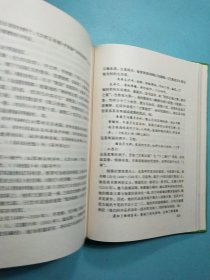 中国诗史（ 山东大学文史书系）精装本