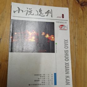 小说选刊杂志2013/8