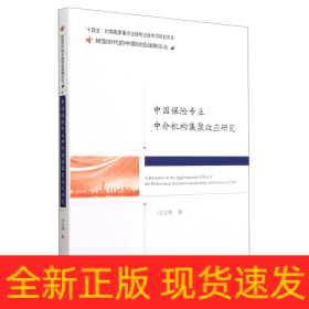 中国保险专业中介机构集聚效应研究