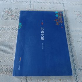 苏青文集（小说卷 中） 续结婚十年