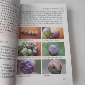 石榴优良品种及无公害栽培技术
无公害葡萄病虫害诊治手册
梨新品种特性
