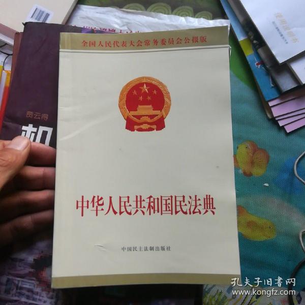 中华人民共和国民法典附草案说明32开
