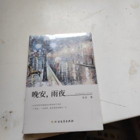 晚安，雨夜