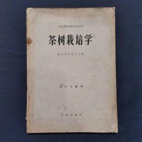 茶树栽培学 1979年初版 印量仅6500册（三号柜）