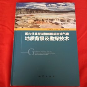 国内外典型湖相碳酸盐油气藏地质背景及勘探技术