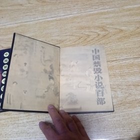 中国禁毁小说百部：禅真逸史（上下）