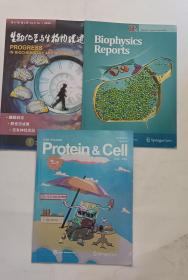 生物化学与生物物理进展+Biophysics Reports+Protein&Cell3本合售