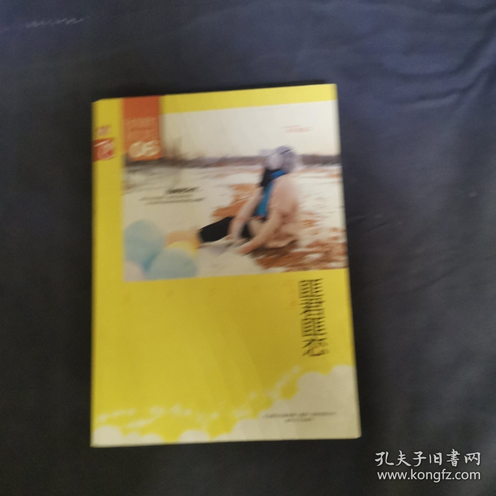 匪君匪恋