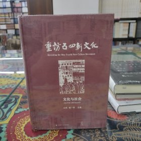 重访五四新文化：文化与社会