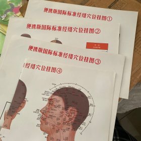 便携版国际标准经络穴位挂图