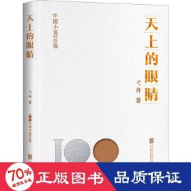 天上的眼睛 中国现当代文学 弋舟