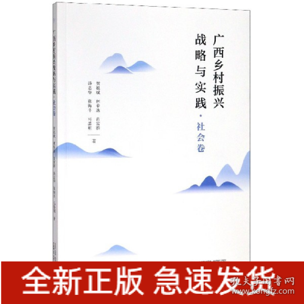 广西乡村振兴战略与实践·社会卷