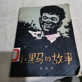 小黑马的故事