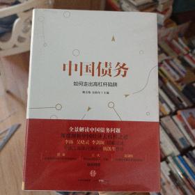 中国债务：如何走出高杠杆陷阱