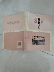 藏家鲁迅