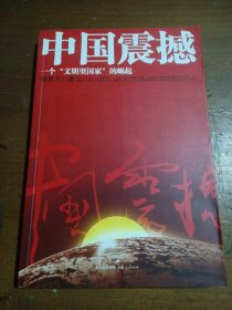 中国震撼：一个“文明型国家”的崛起张维为  著上海人民出版社