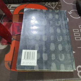 新视界文丛：梦幻之城 当代城市审美文化的批评性考察+永远的前卫 中国现代艺术的反思与批判（2册合售 一版一印）有瑕疵
