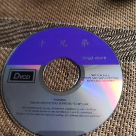 十兄弟 DVCD 裸盘