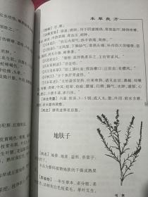 新编本草良方大全