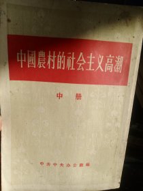 中国农村的社会主义高潮 中册