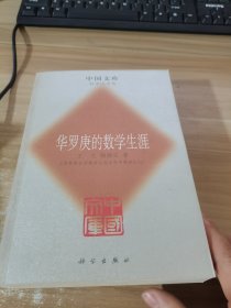 华罗庚的数学生涯——中国文库（科学技术类）