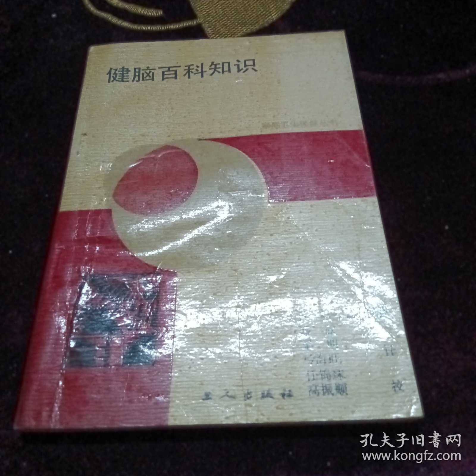 健脑百科知识