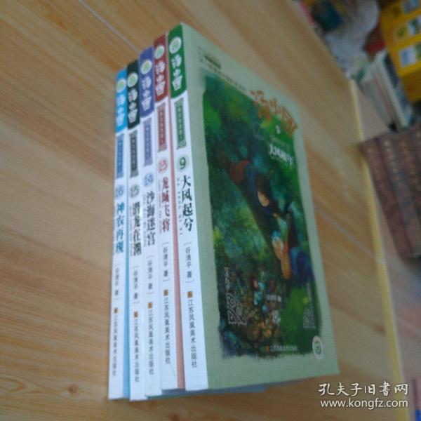 汤小团-大风起兮