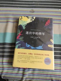 迷宫中的将军