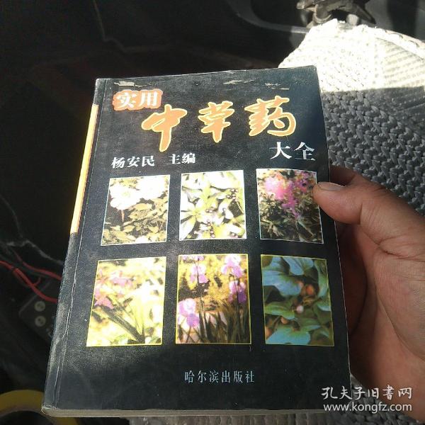 实用中草药大全