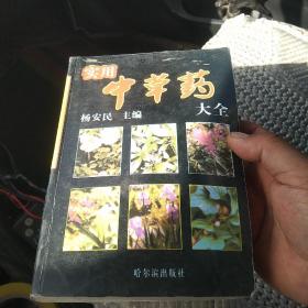 实用中草药大全