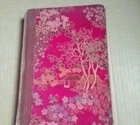 南军 工作日记（1979.10.21-1982.2.7）