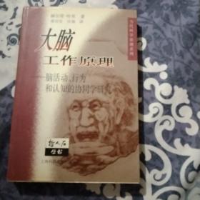 大脑工作原理：脑活动、行为和认知的协同学研究