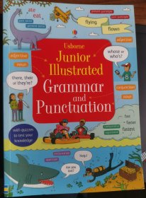 Junior Illustrated Grammar and Punctuation