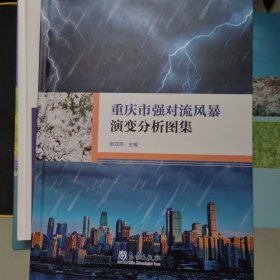 重庆市强对流风暴演变分析图集