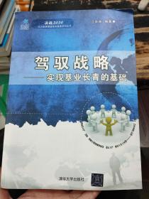 决战2020·北大纵横管理咨询集团系列丛书·驾驭战略：实现基业长青的基础