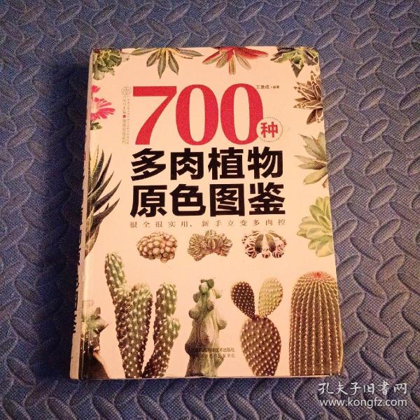 700种多肉植物原色图鉴